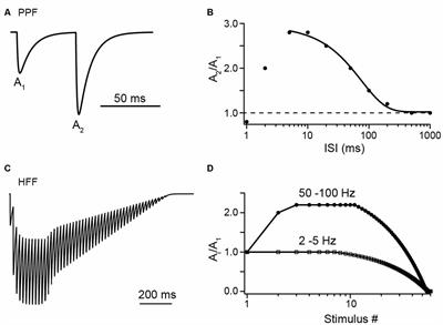 Control of Presynaptic Parallel Fiber Efficacy by Activity-Dependent Regulation of the Number of Occupied Release Sites